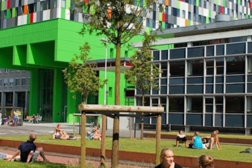 Rijschool Mijn